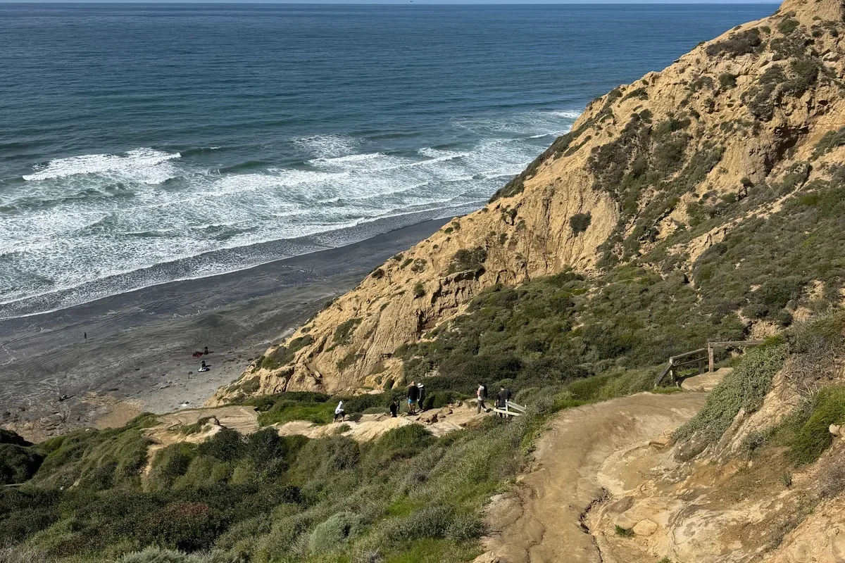 A coastal trail above cliffs and surf at Torrey Pines